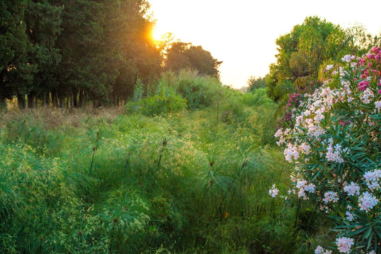 Farm stay Dei Papiri Fonte Ciane *